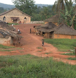 Our Projects